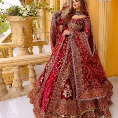 The Bride's Pride by Mehnaz Abbasi