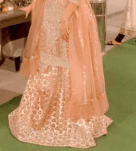 Party Wear Shirt & Lehnga